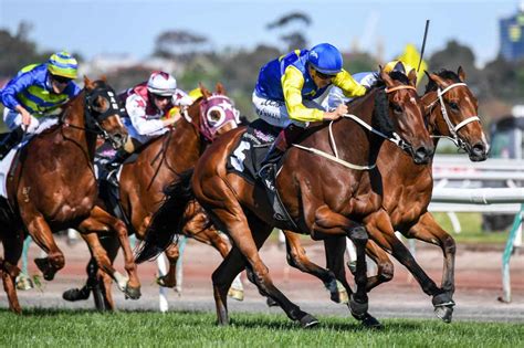 cantala stakes results|Superstorm's super Cantala win .